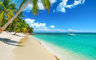 Strand in der Dominikanischen Republik