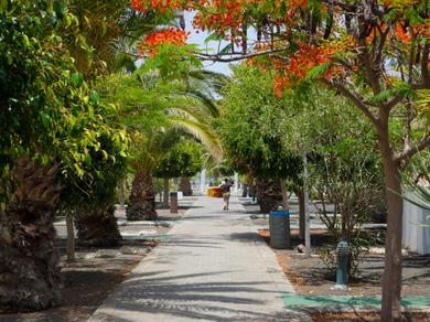 Gartenanlage