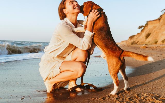 Vorschaubild für Urlaub mit Hund