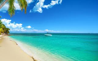 Bild von Dom. Republik Urlaub im Dezember