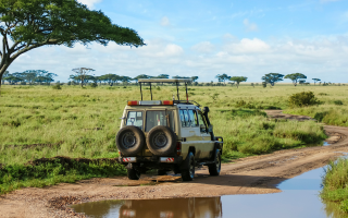 Safari Fahrzeug
