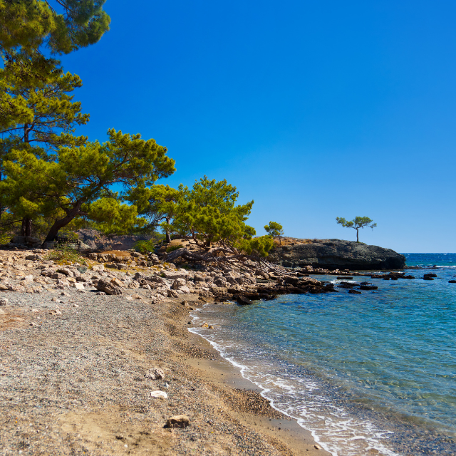 Phaselis Beach Bucht mit vielen Steinen und Bäumen nah am Wasser