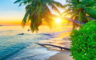 Bild von Seychellen Urlaub im Juni