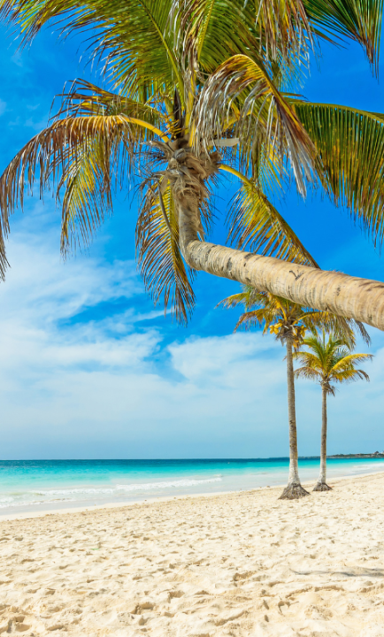Playa Paraíso Mexiko