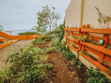 Gartenanlage