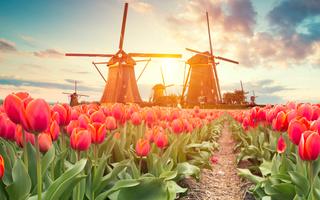 Bild von Niederlande Urlaub im Mai