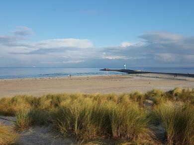 Strand