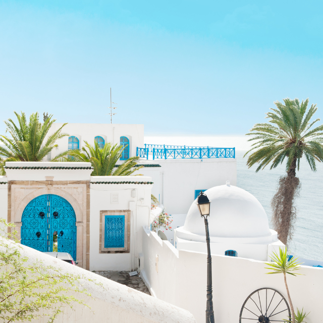 Blau-weiße Häußer am Meer von Sidi Bou Said