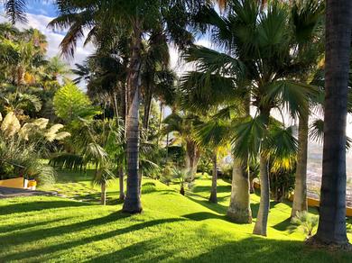 Gartenanlage