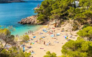 Bild von Ibiza Urlaub in den Sommerferien Bild von Ibiza Urlaub in den Sommerferien
