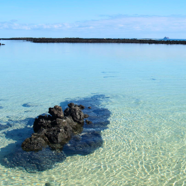 Lavaformation im seichten Wasser von Caletón Blanco