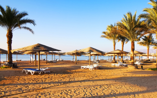 Strand in Hurghada mit Palmen und Sonnenliegen unter Schirmen