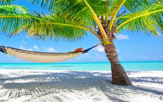 Bild von Karibik Urlaub in den Weihnachtsferien Bild von Karibik Urlaub in den Weihnachtsferien