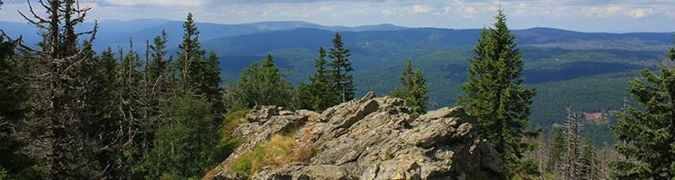 Ausblick über den bayerischen Wald