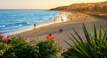 Fuerteventura Urlaub Vorschaubild