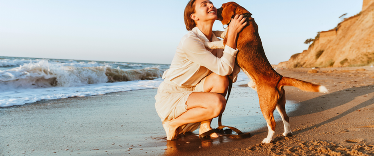 Urlaub mit Hund Titelbild Urlaub mit Hund Titelbild