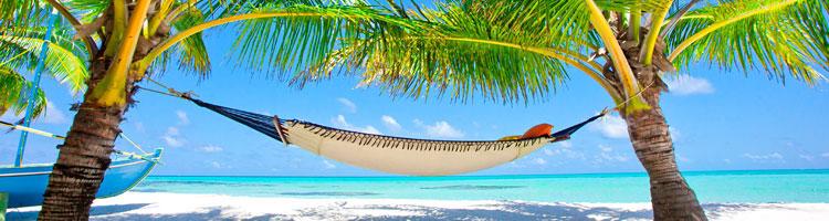 Zwischen den Palmen am weißen Sandstrand der Karibik Zwischen den Palmen am weißen Sandstrand der Karibik
