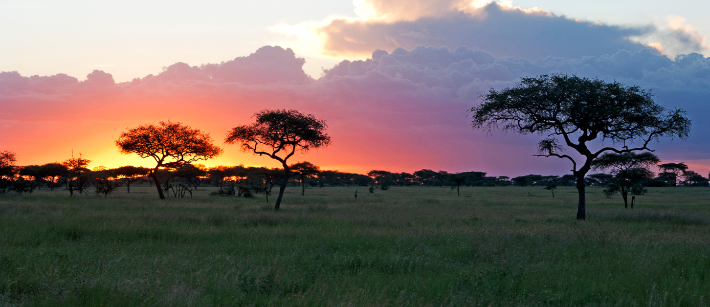 Serengeti Nationalpark in Tansania