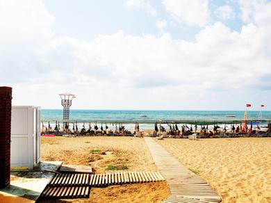 Strand