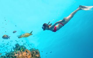 Top 15 Tauchhotels Vorschaubild