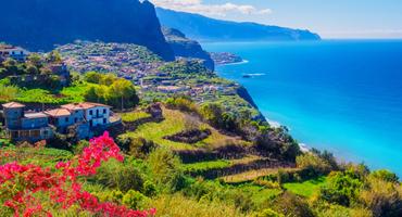 Bild von Madeira Urlaub im März Bild von Madeira Urlaub im März