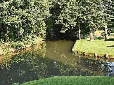 Gartenanlage