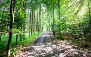 Bild von Bayerischer Wald Urlaub in den Osterferien