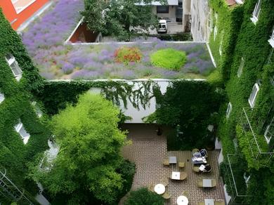 Gartenanlage