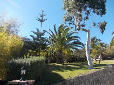 Gartenanlage