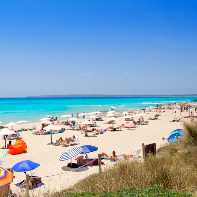 Blick auf gut gefüllten Strandabschnittmit Schirmen und Liegen