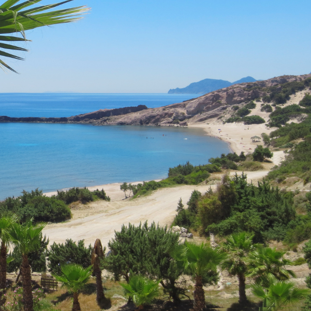 Blick über die Bucht von Paradise Beach mit viel grüner Vegetation, hellem Sand und Felsen im Hintergrund