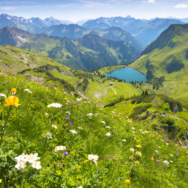 Kleiner blauer Bergsee zwischen saftig grünen Wiesen und Blumen im Allgäu