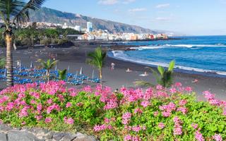 Teneriffa Urlaub Vorschaubild