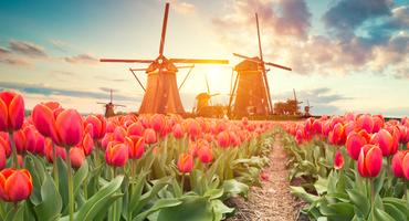 Bild von Niederlande Urlaub im Mai Bild von Niederlande Urlaub im Mai