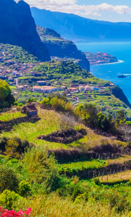 Blühende Küste auf Madeira