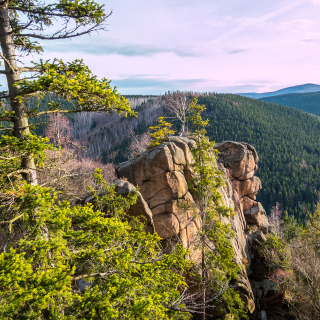 Felsen im Harz