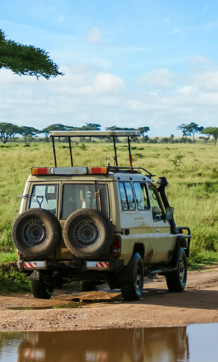 Safari Fahrzeug