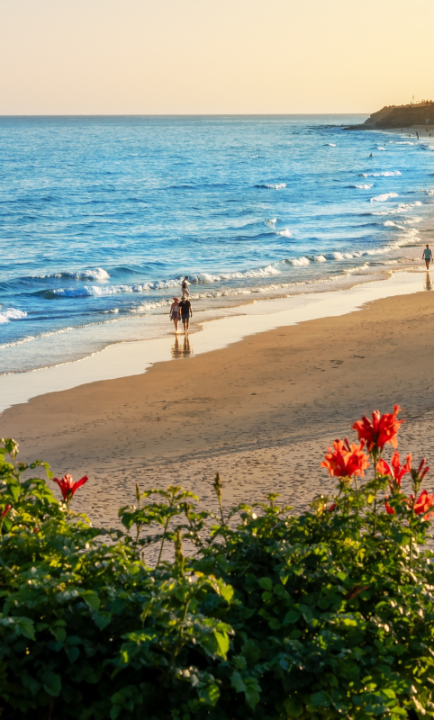 Fuerteventura Strand