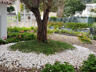 Gartenanlage
