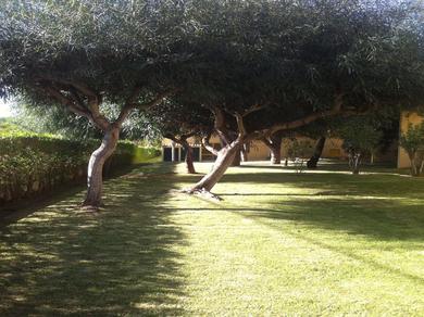 Gartenanlage