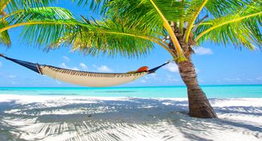 Bild von Karibik Urlaub in den Winterferien Bild von Karibik Urlaub in den Winterferien