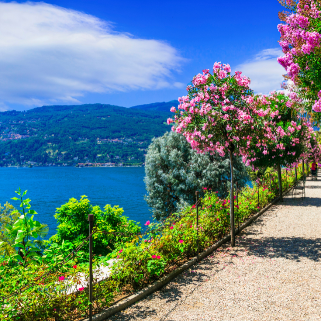 Blick von einem Weg des Blumengartens auf den Lago Maggiore