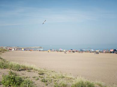 Strand
