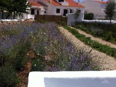 Gartenanlage