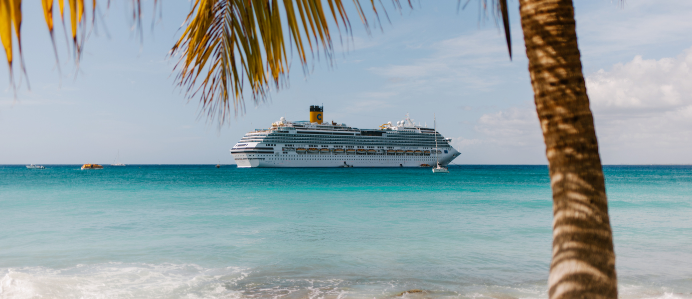 Kreuzfahrtschiff vor einer Küste