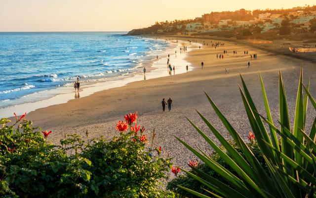 Vorschaubild für Fuerteventura Familienhotels
